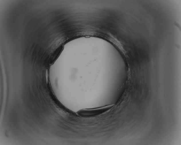 X0000091560013200709071138