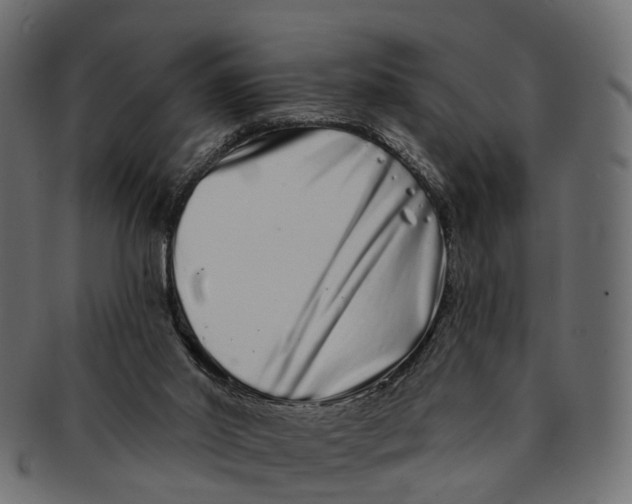 X0000091560014200709071138