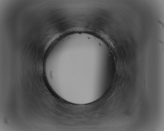 X0000091560015200709071138