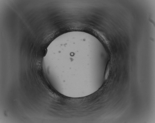 X0000091560017200709071138