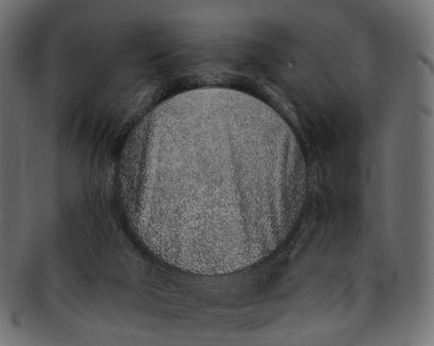 X0000091560018200709071138