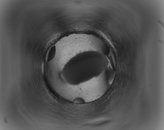 X0000091560019200709071138