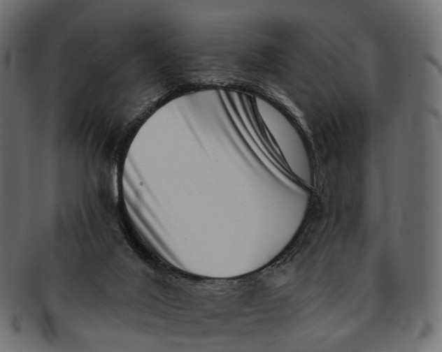 X0000091560020200709071138