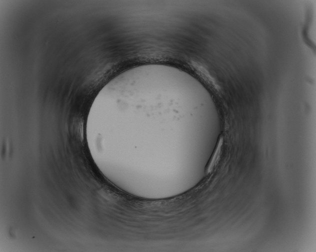 X0000091560021200709071138