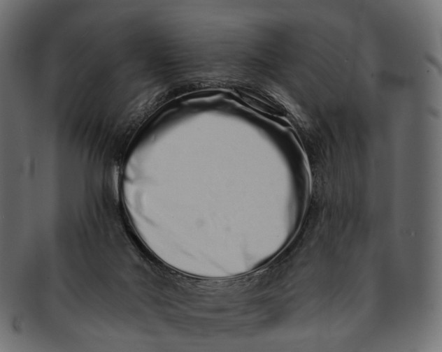 X0000091560022200709071138