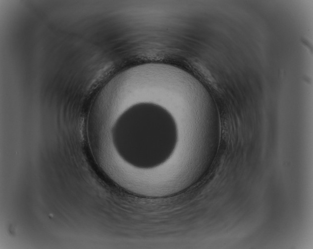 X0000091560023200709071138