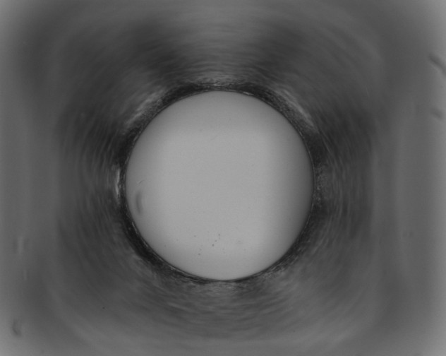 X0000091560024200709071138