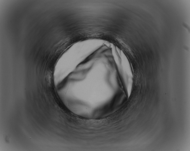 X0000091560026200709071138