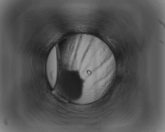 X0000091560027200709071138