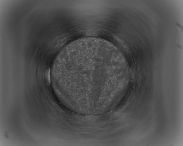 X0000091560028200709071138