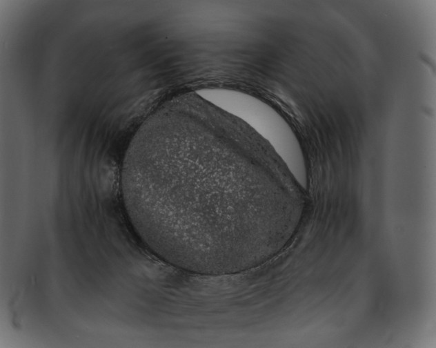 X0000091560029200709071138