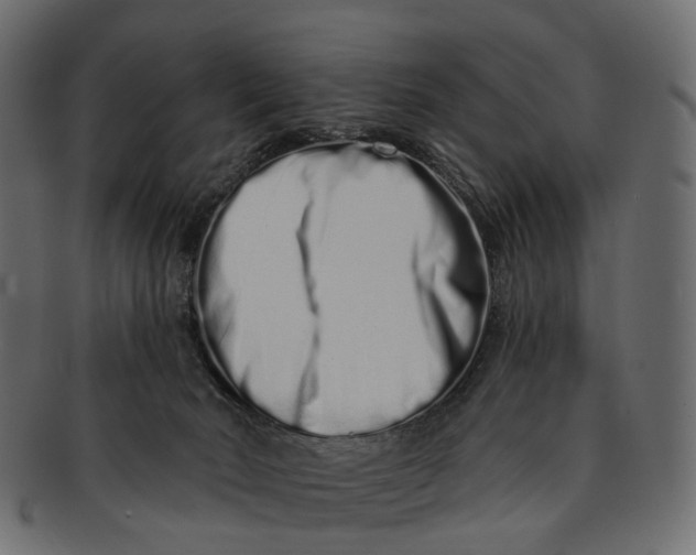 X0000091560030200709071138