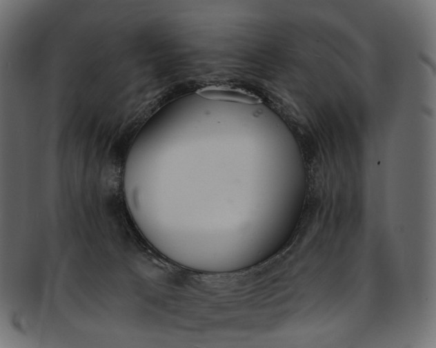 X0000091560033200709071137