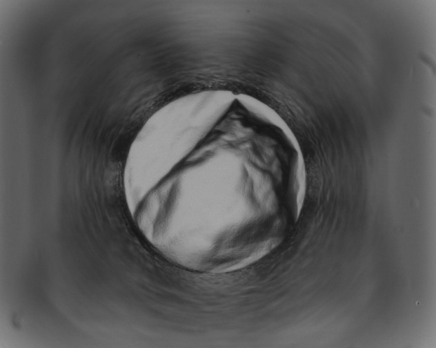 X0000091560034200709071137