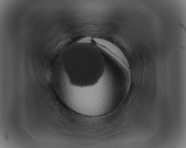 X0000091560035200709071137