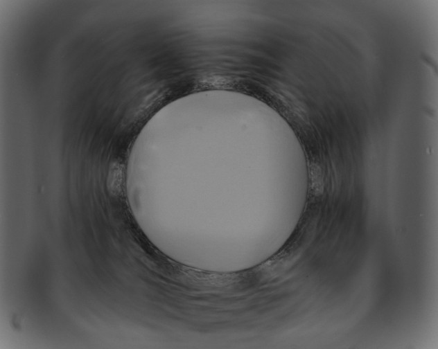 X0000091560036200709071137