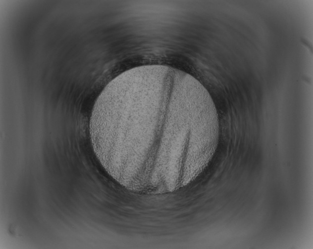 X0000091560038200709071137