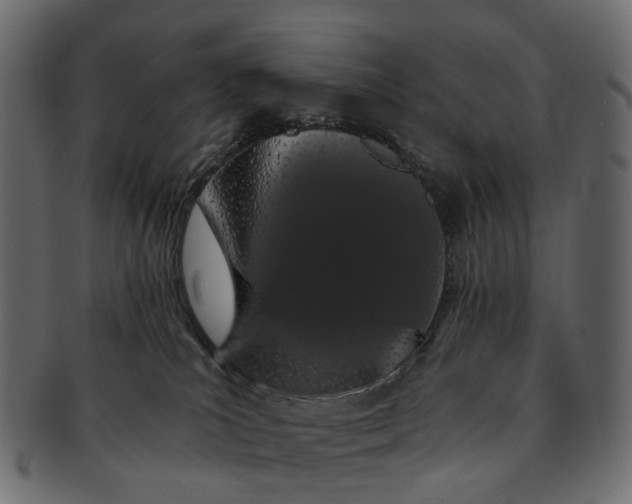 X0000091560039200709071137