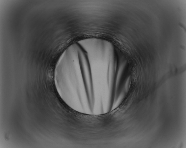 X0000091560040200709071137