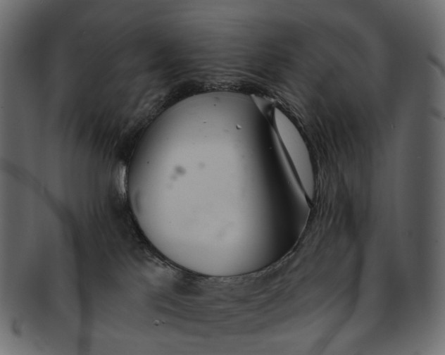 X0000091560041200709071137