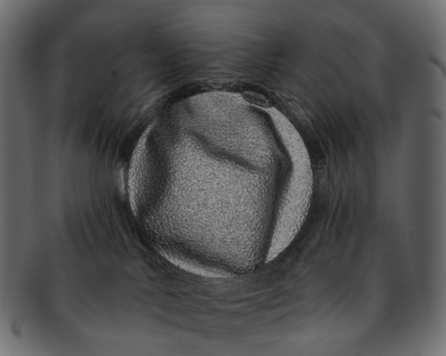 X0000091560042200709071137