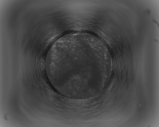 X0000091560043200709071137