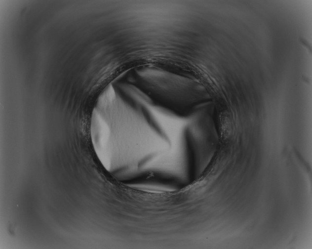 X0000091560044200709071137