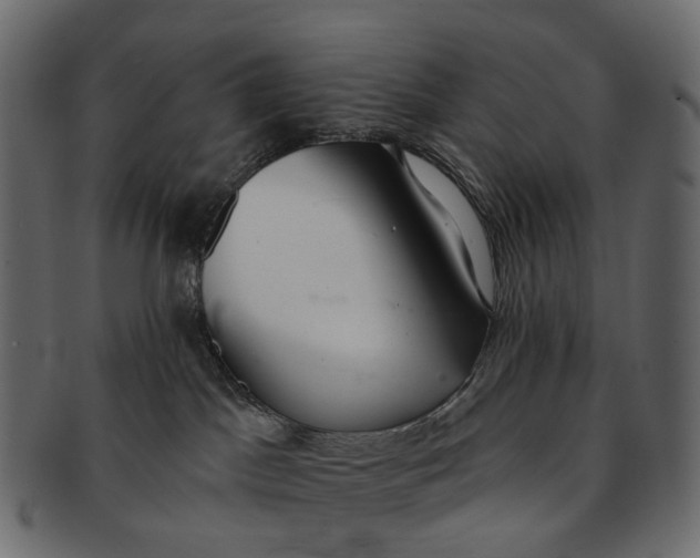 X0000091560045200709071137