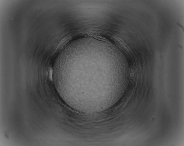 X0000091560046200709071137