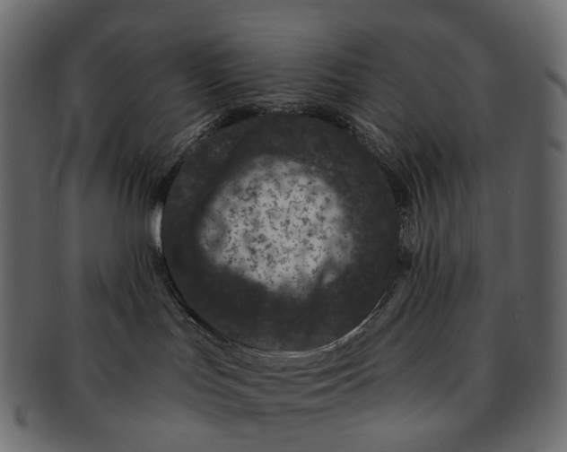 X0000091560047200709071137