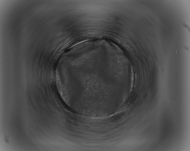 X0000091560048200709071137