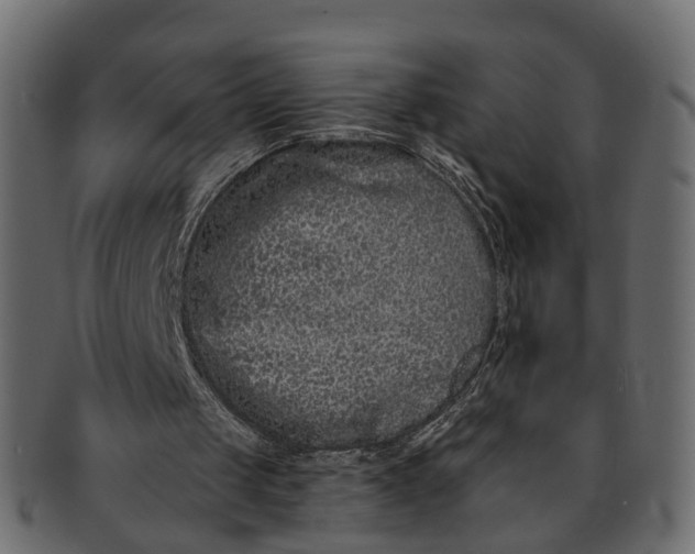 X0000091560049200709071136