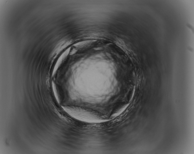 X0000091560050200709071136