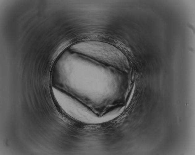 X0000091560051200709071136