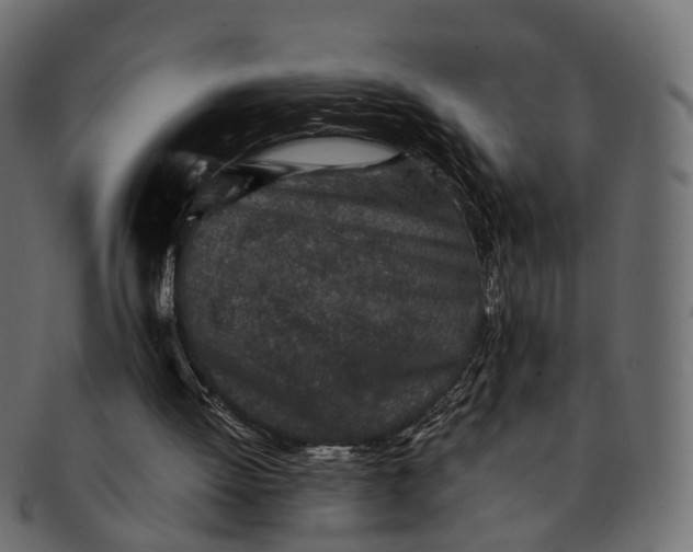 X0000091560052200709071136