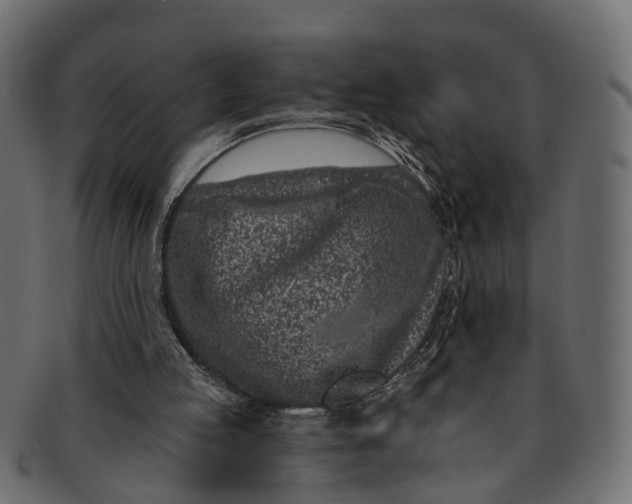 X0000091560053200709071137