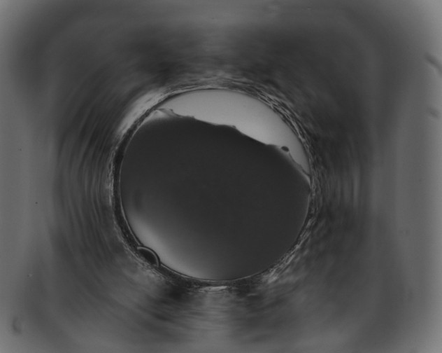 X0000091560054200709071137