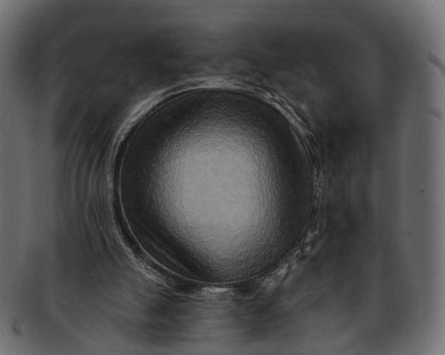 X0000091560055200709071137