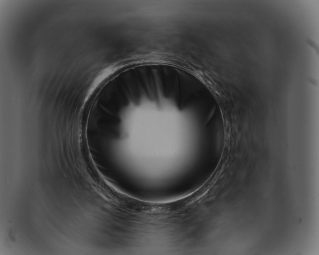 X0000091560056200709071137