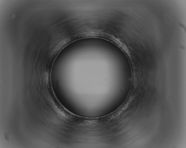 X0000091560057200709071137