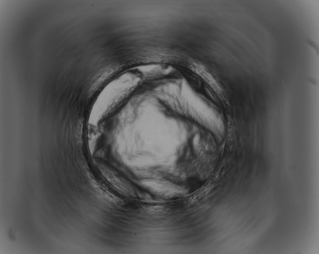 X0000091560058200709071137