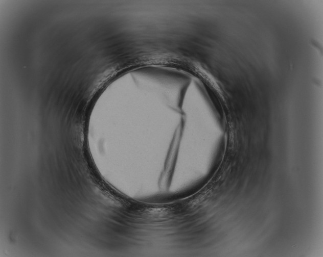 X0000091560059200709071137