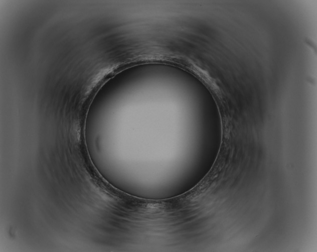 X0000091560060200709071137