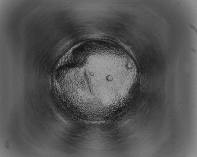 X0000091560061200709071137