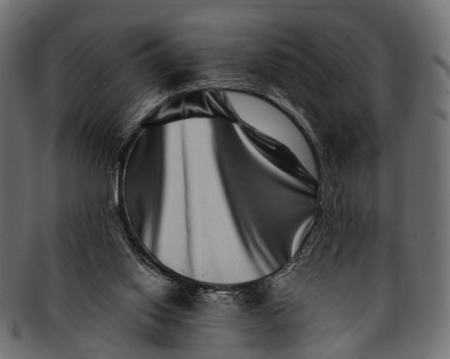 X0000091560062200709071137