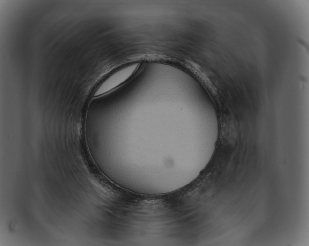 X0000091560063200709071137