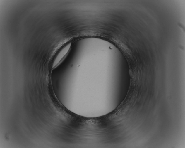 X0000091560064200709071137