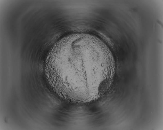 X0000091560065200709071137