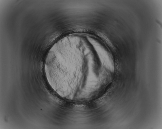 X0000091560066200709071137