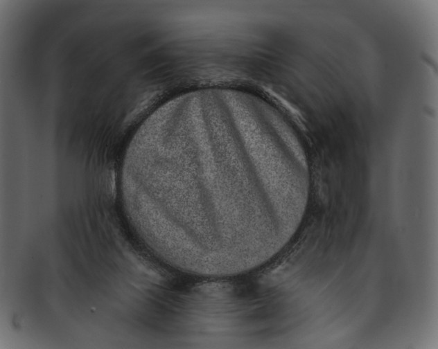 X0000091560067200709071137